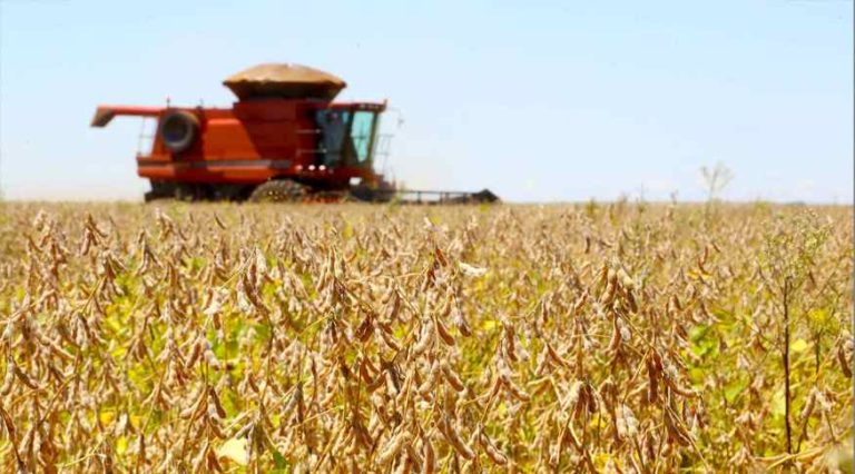 Crescimento de 2,3% na economia do Brasil em 2025.