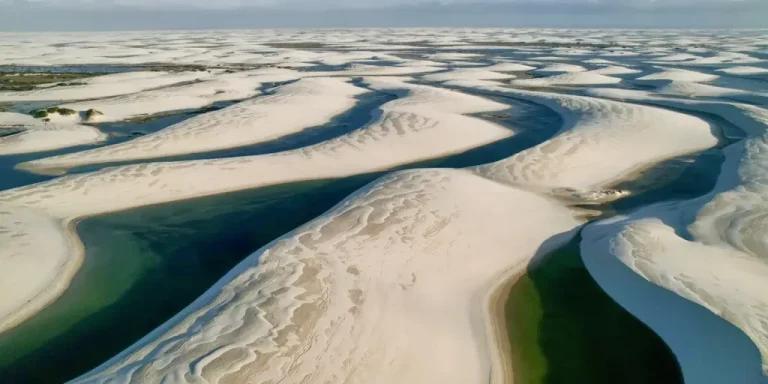 Unesco ressalta o impacto positivo de seus locais no ecossistema mundial