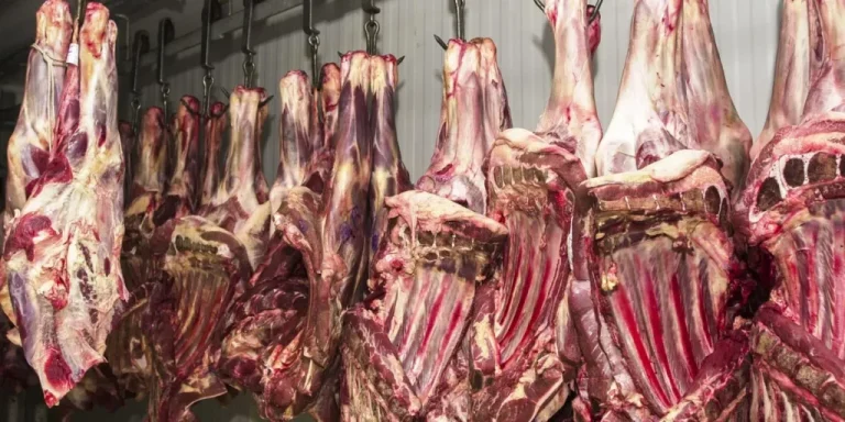 Três frigoríficos do Brasil são interditados pela China devido a descumprimentos normativos