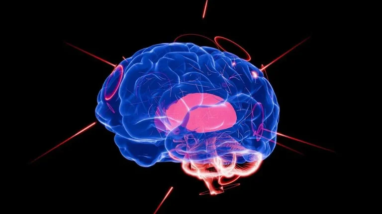 Irã anuncia desenvolvimento de “inteligência artificial biológica” utilizando neurônios vivos