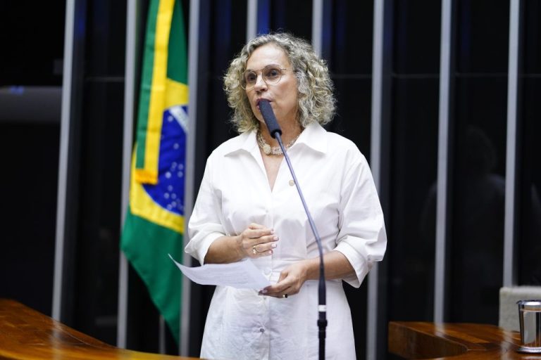 Ana Paula Lima à frente dos três representantes da esquerda em Santa Catarina
